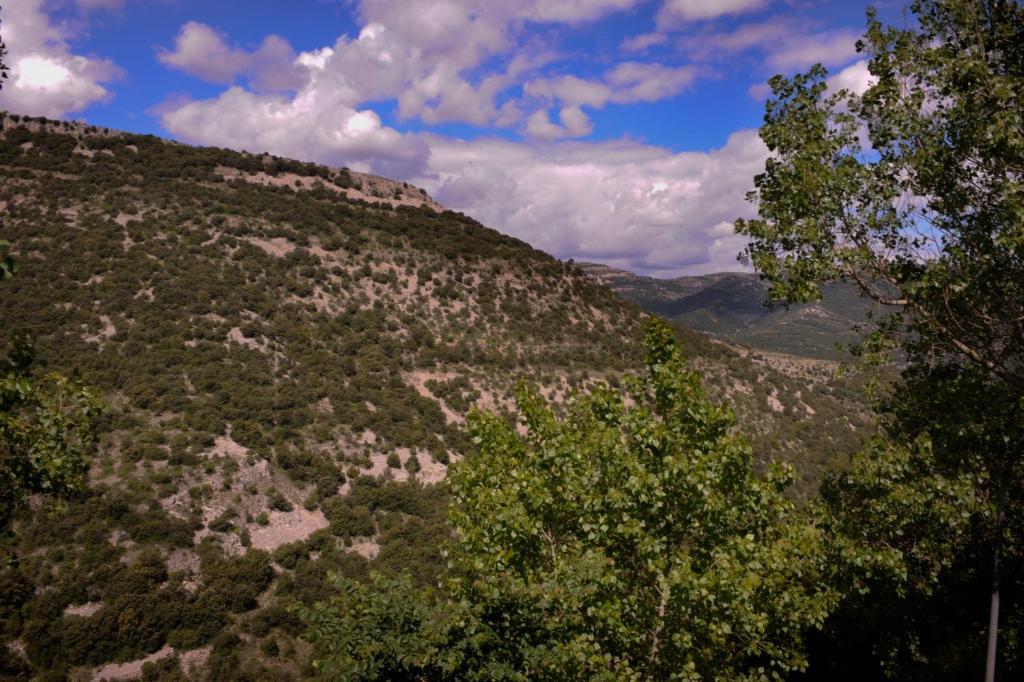 Appartement Complejo Rural La Glorieta à Catí Chambre photo